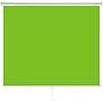 excelimage Pull-Down Green Screen Backdrop, 79”x75” Auto-Locking Chroma Key Panel with Wrinkle-Resistant Green Fabric for YouTube Videos, Music Videos, Photography, TIK Tok, or Gaming (White)