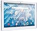 Acer Iconia Tablet 10.1