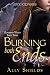 Burning Both Ends (Guardian Witch Book 3)