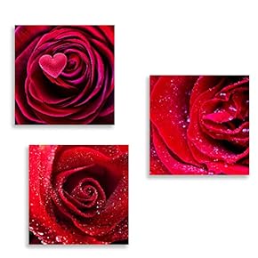 3 Panel Canvas Wall Art Romantic Rose Pictures Home Wall Decorations for Bedroom Living Room Paintings Canvas Prints Framed - 12"x12"x3 Panels