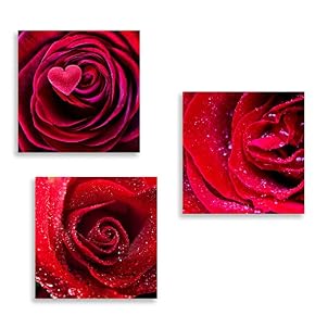 3 Panel Romantic Rose Pictures Home Wall for...