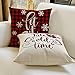 AVOIN Christmas Saying Throw Pillow Cover, 18 x 18 Inch Winter Holiday Buffalo Plaid Farmhouse Cushion Case for Sofa Couch Set of 4