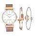 MAMONA Women's Rose Gold Quartz Watch Gift Set Waterproof Mesh Band Wristwatch Ultra Thin L3881RGGT