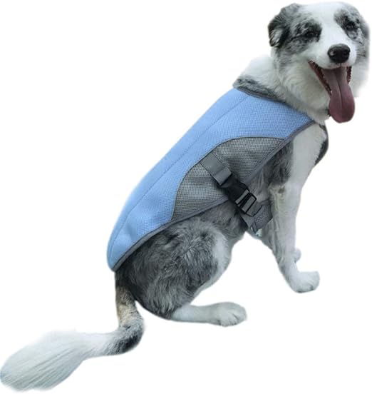 dog cooling jacket amazon