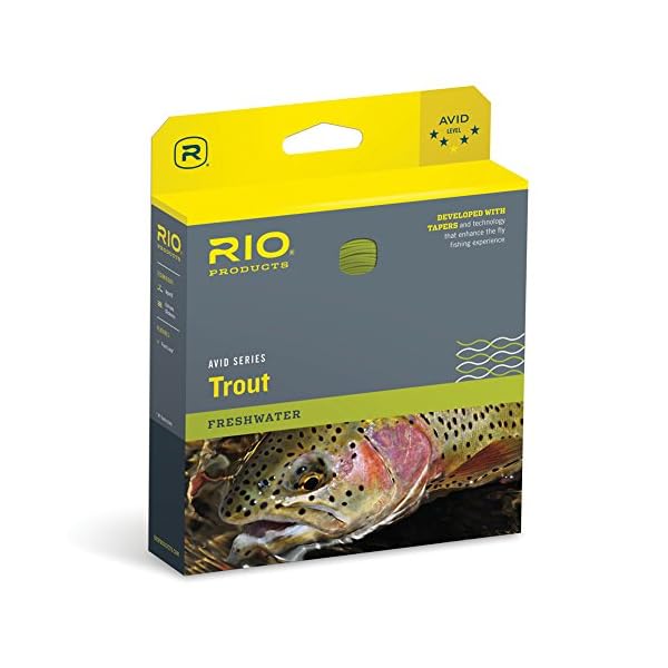 Rio-Avid-24ft-Sinking-Tip-Fly-Line