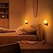 TomCare Salt Lamp, Himalayan Salt Light Glow Hand Carved Natural Crystal Himalayan Night Lights Wall Light UL Approved Wall Plug Decoration Lighting (2)