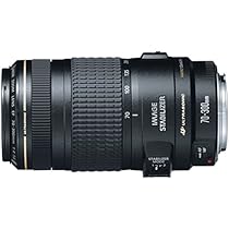 Amazon.com : Canon EF 70-300mm f/4-5.6 IS USM Lens for Canon EOS