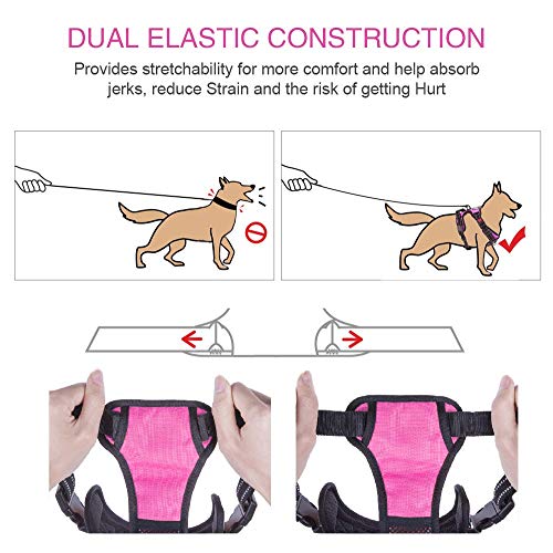 PoyPet No Pull Dog Harness, No Choke Front Lead Dog Reflective Harness