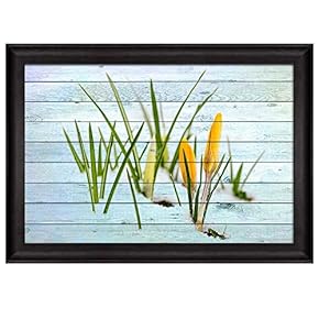 Yellow Flowers and Grass Blooming on The Snow...