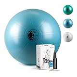 Exercise Ball by LeoPower, Hand Pump, Anti-burst System for Yoga, Pilates, Fitness, Stretching, Pregnancy, Eco-Friendly Material, (sky blue, middle/65cm)