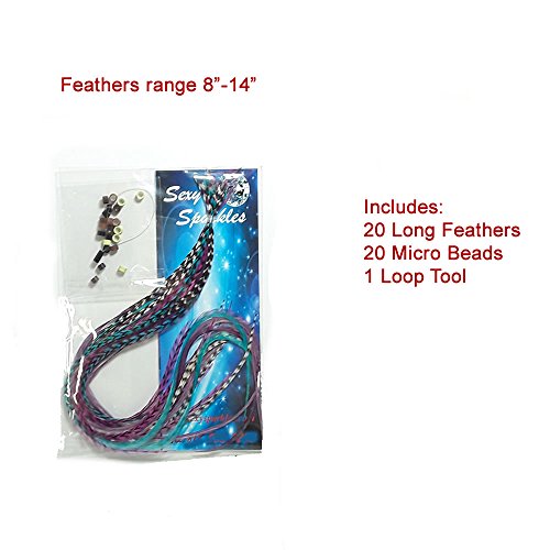 Feather Hair Extensions, 100% Real Rooster Feathers, Long Violet, Purple, Blue Colors, 20 Feathers with 20 Beads and Loop Tool Kit by Sexy Sparkles
