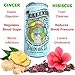Tealixir Herbal Sparkling Water - Inspired By The Traditions Of Ayurveda, Traditional Chinese Medicine And North American Folk Medicine, Zero Sugar, Zero Calorie, 12 PACK Variety