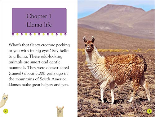 DK Readers Level 2: Llamas