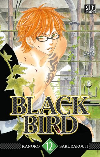 Black bird