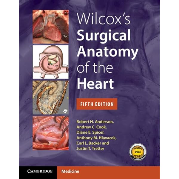Wilcox's Surgical Anatomy of the Heart: 9781107014480
