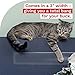 XFasten Anti-Scratch Cat Training Tape, Clear, 2-Inches x 30 Yards; Door, Kitty Paw Tape for Couch, Furniture and Leather Stop Scratching Guard Protector Tape for Cats