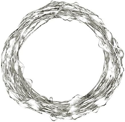 USB String Lights, isightguard 33ft 100 LEDs Copper Wire Waterproof Starry LED Lights Festival Decorative LED String Lights for Bedroom, Patio, Party, Christmas Tree, Wedding Decorations (white)