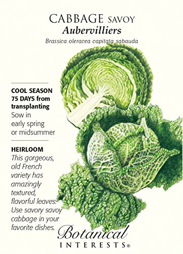 Aubervilliers Savoy Cabbage Seeds - 2 grams Aubervilliers Savoy Cabbage Seeds - 2 grams