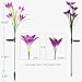 Homestarry Solar Garden Lights Outdoor, 2 PCS Solar Powered Lights with 8 Lily Flower, Multi-Color Changing LED Solar Stake Lights for Garden, Patio, Backyard (Purple/White)