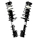Prime Choice Auto Parts CST100132PR Rear Strut Assembly Pair