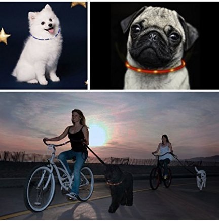 ZOGIN Collar de perro LED, collar de seguridad recargable USB para perro gato y otro animal doméstico, color verde