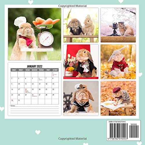 Calendrier Rct Top 14 2023 Pui Pui & Pico Pico 2022 Calendar: The Adventures Of Bunnies Squared Mini  Planner Jan 2022 To Dec 2022 Plus 6 Extra Months Of 2023 | Photos Picture  ... Pet Farm Animal