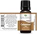 Plant Therapy Cedarwood Atlas Essential Oil 100% Pure, Undiluted, Natural Aromatherapy, Therapeutic Grade 10 mL (1/3 oz)