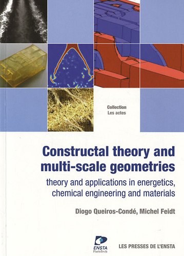 Constructal theory and multi-scale geometries