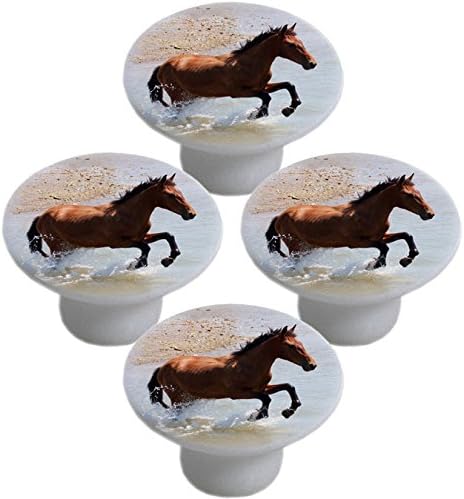 Horse On Beach Day Ceramic Cabinet Drawer Knob Set Of 3 Knobs