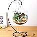 SunGrow 3 Hanging Glass Terrariums by Spherical Air Plant Orb, Handmade, Heat-Resistant Glass, Create Refreshing Atmosphere in Terrace Garden