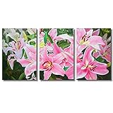 JoyArt - Flower Painting Pink Lily Canavs Prints Modern Painting on Canvas Framed Wall Art for Livingroom Decoration