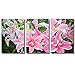 ARTSPIRIT JoyArt - Flower Painting Pink Lily Canvas Prints Modern Painting on Canvas Framed Wall Art for Livingroom Decoration
