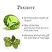Sterling Silver Celtic Knot Knotwork Necklace with a Bright Green 7x10mm Peridot