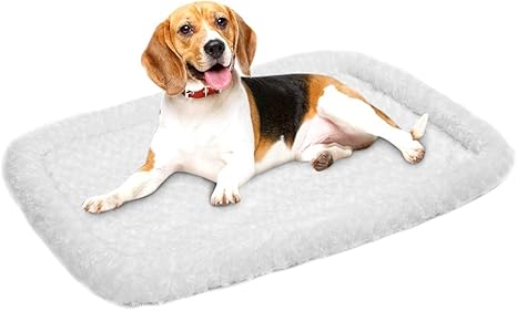 Amazon Com Amorus Pet Bed Deluxe Super Plush Dog Beds Ideal For Metal Dog Crates Machine Wash Dry Friendly 36 X 24 White Pet Supplies