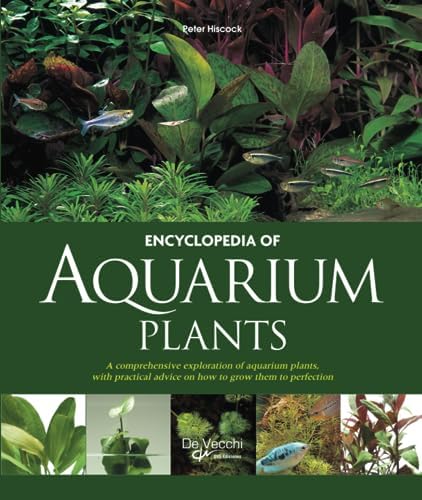 Nature Aquarium World: How You Can Make A Most Beautiful Aquarium