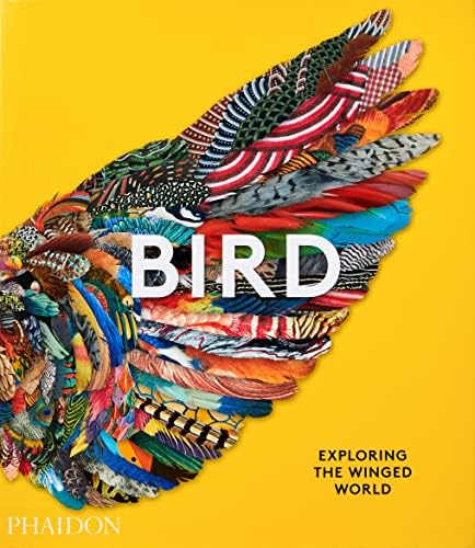Amazon.com: Bird: 9780811870986: Zuckerman, Andrew: Books