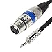 Disino XLR to 3.5mm (1/8 inch) Stereo Microphone Cable for Camcorders, DSLR Cameras, Computer Recording Device and More - 1.6ft/50cm
