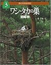 ワシ・タカの巣 (森の写真動物記 3)