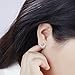 Wicary Cute Cat Earrings S925 Sterling Silver Ear Studs Set of 3 pairs