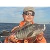 Jigging-World-Fluke-candy-Teaser