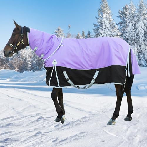 Biganttow 1200D Winter Turnout Blanket
