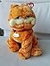 Ty Garfield