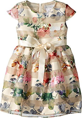 Us Angels Baby Girl's Cap Sleeve Floral Party Dress (Toddler/Little Kids) Champagne
