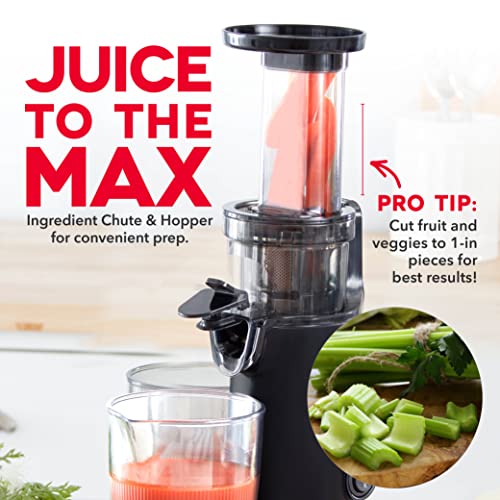DASH Deluxe Compact Masticating Slow Juicer, Easy to Clean Cold Press