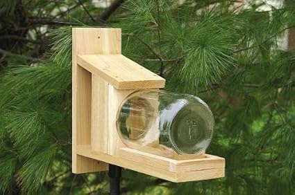 Songbird Essentials Squirrel Jar Feeder Amazon Co Uk Pet Supplies