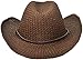 TAUT Unisex Woven Straw Cowboy Ranch Hat with Shapeable Brim