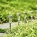 FC-Fancier Solar Lights for Outdoor Garden Led Light Landscape/Pathway Lights, Bright White, Waterproof,Stainless Steel-12 Pack