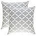 TreeWool Trellis Accent Spring Summer 18x18 Set of 2 Decorative Throw Pillow Covers 100% Cotton Home Decor Pillowcases for Sofa Couch (Silver Gray)