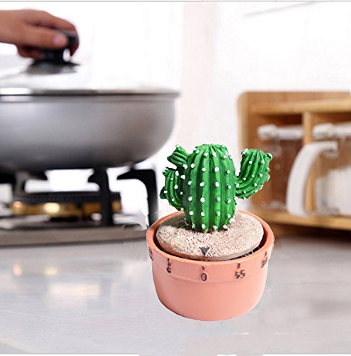 GIFTME 5 Fairy Castle Cactus Kitchen Timer Cooking Timer
