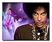 Prince Roger Nelson Memorabilia Prints/Photos (4 pack 8x10)